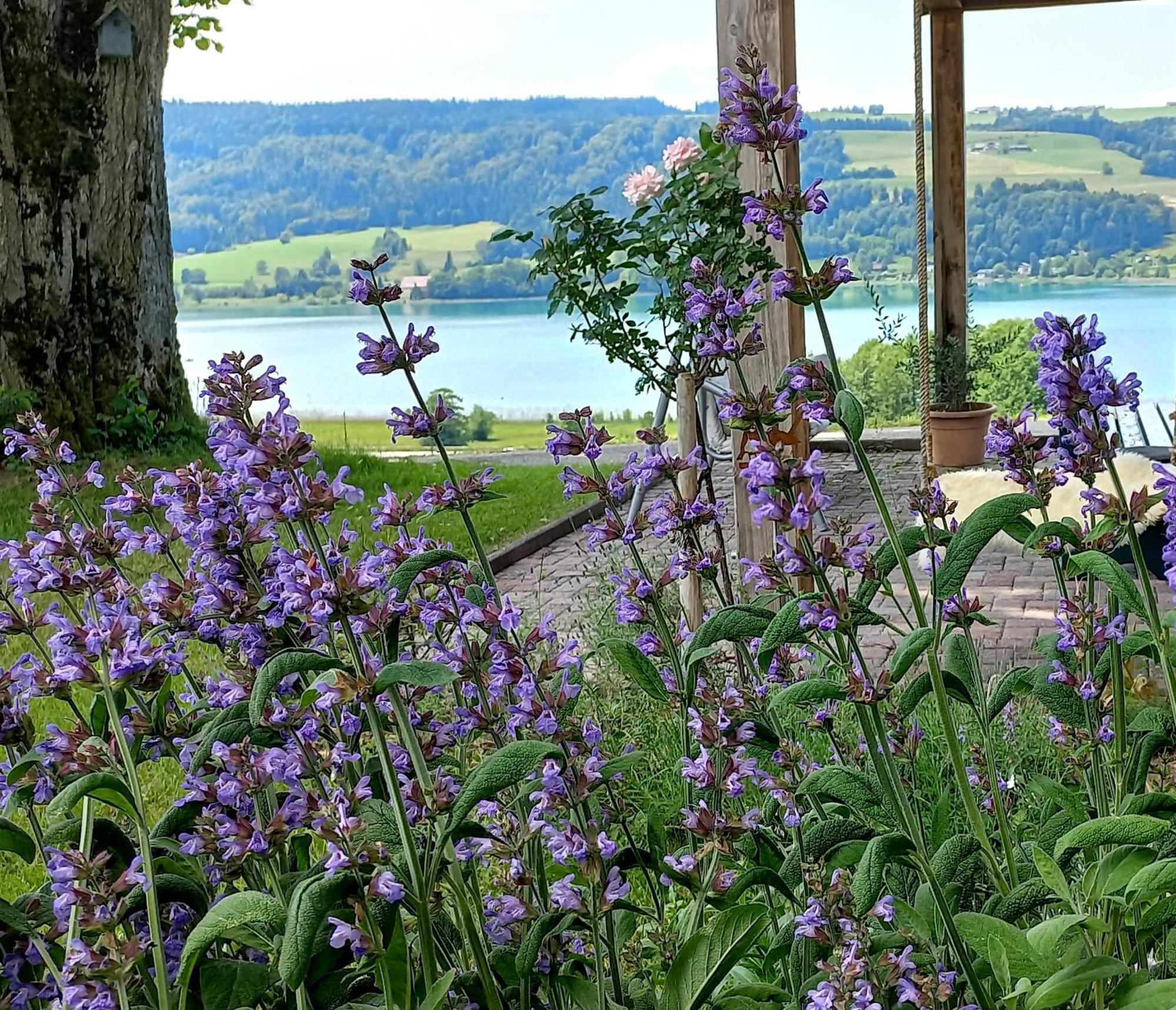 Roiderhof Irrsee Oberhofen am Irrsee Exteriér fotografie